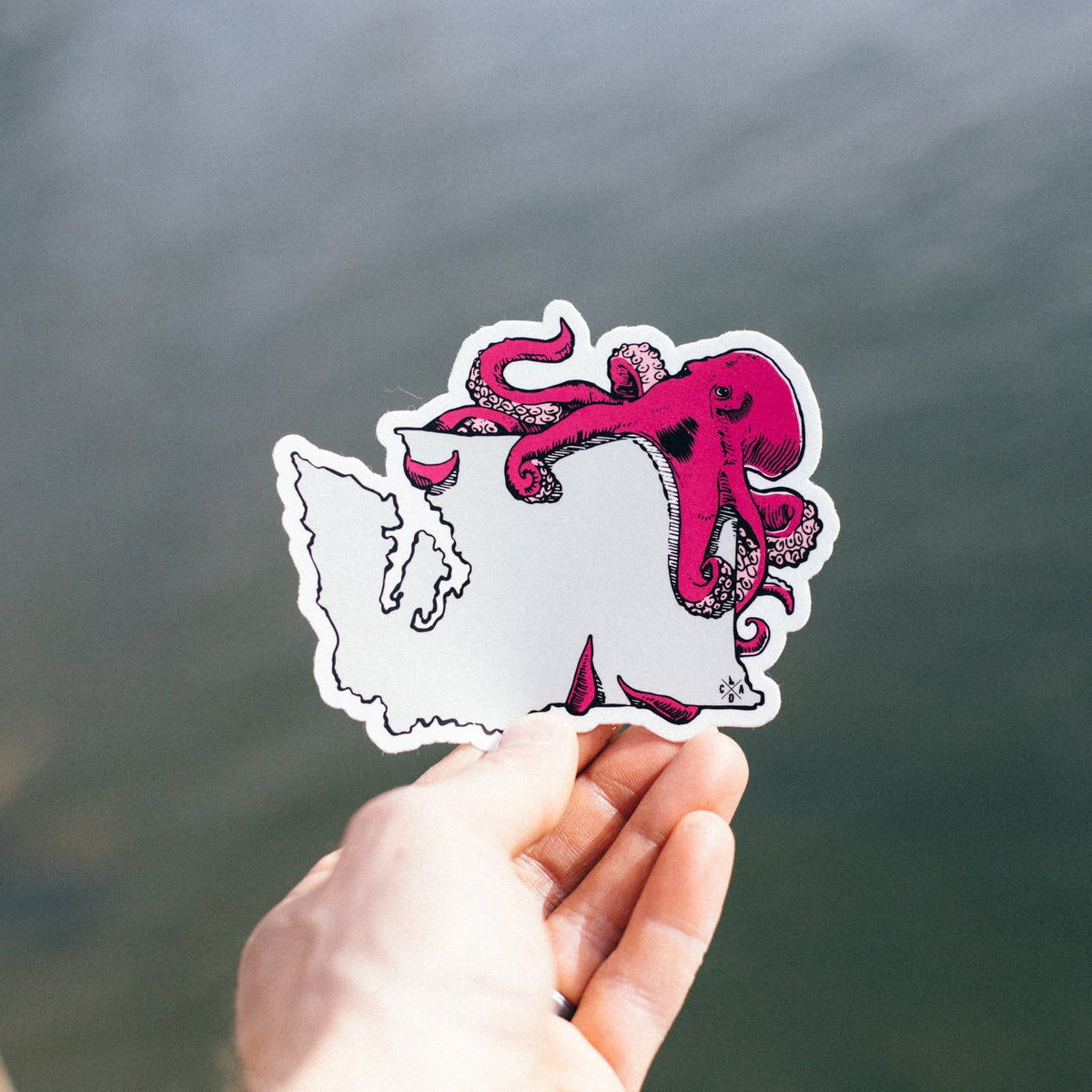 Washington Octopus Sticker